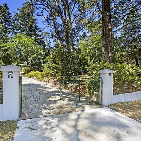 Carcoola Villa Blackheath Kültér fotó