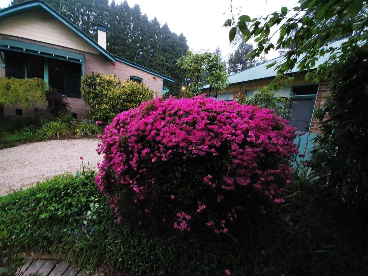 Carcoola Villa Blackheath Kültér fotó