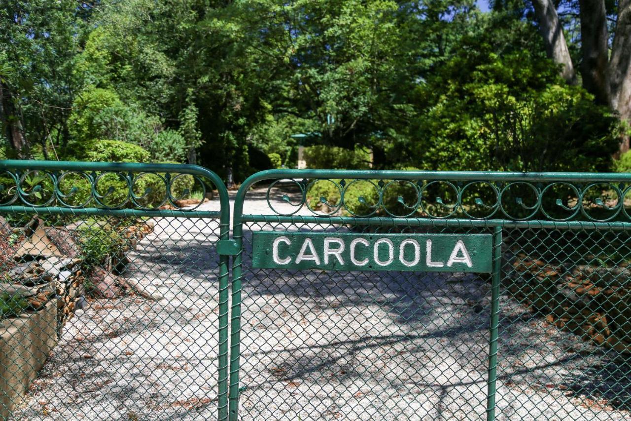 Carcoola Villa Blackheath Kültér fotó